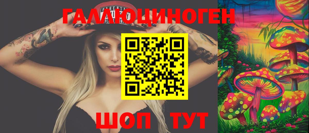 Псилоцибиновые грибы GOLDEN TEACHER Нововоронеж